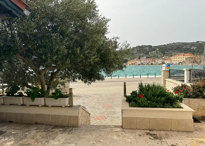 2 Istocna Gomilica 迪斯诺